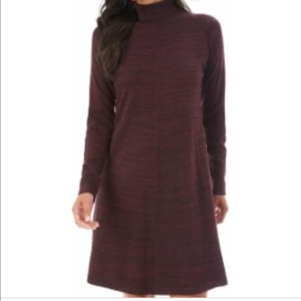 Maroon Turtleneck Long Sleeve Dress